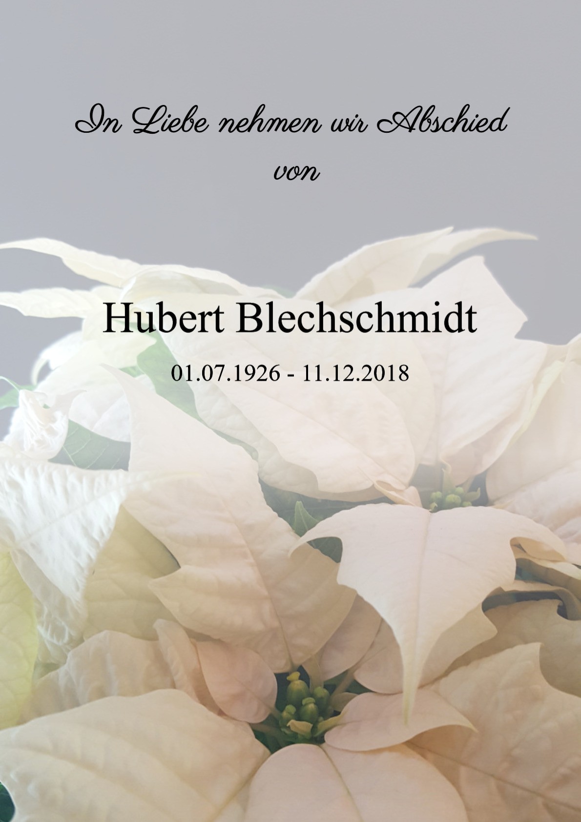 Traueranzeige von Hubert Blechschmidt