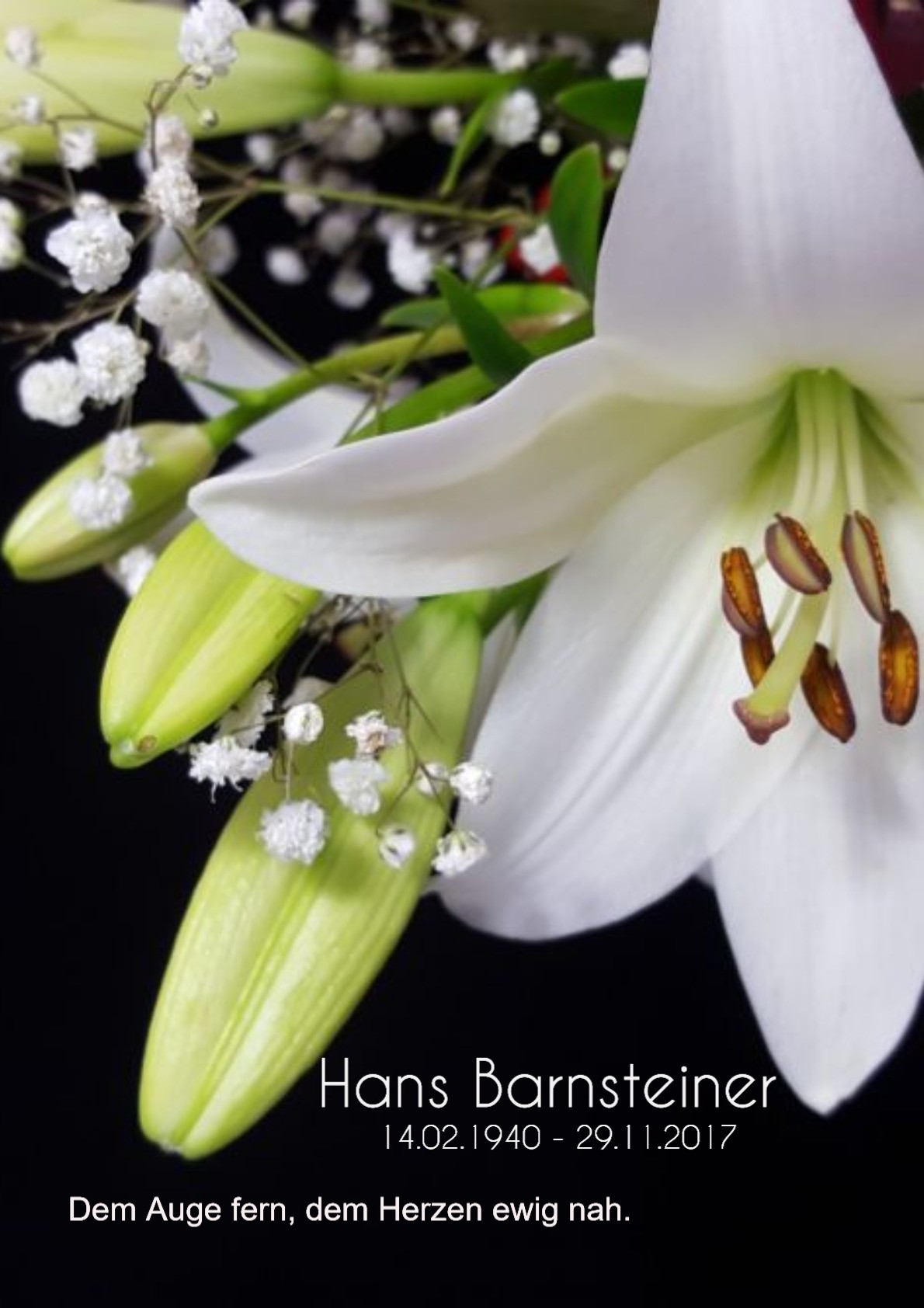 Traueranzeige von Hans Barnsteiner