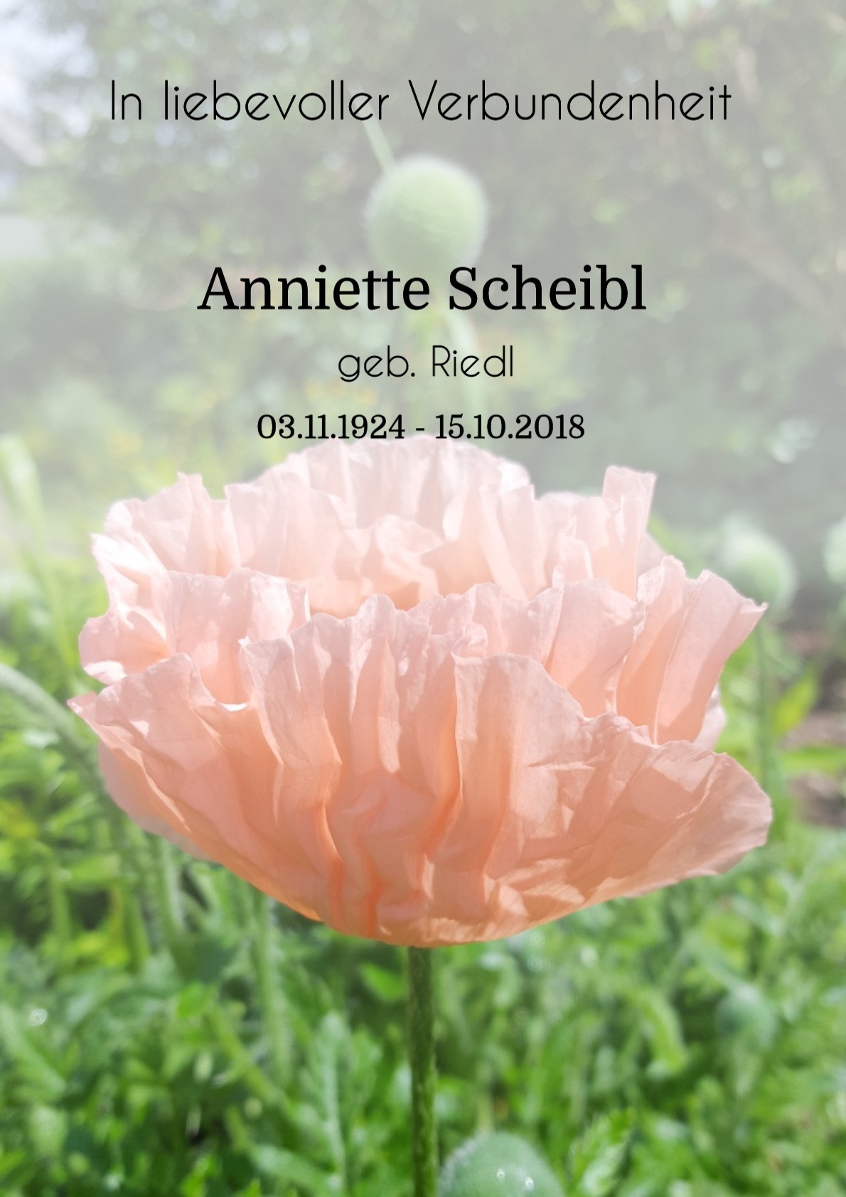 Traueranzeige von Anniette Scheibl
