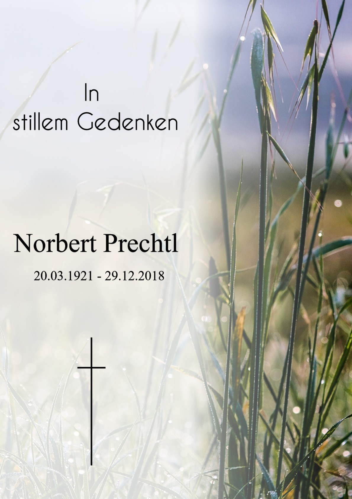 Traueranzeige von Norbert Prechtl