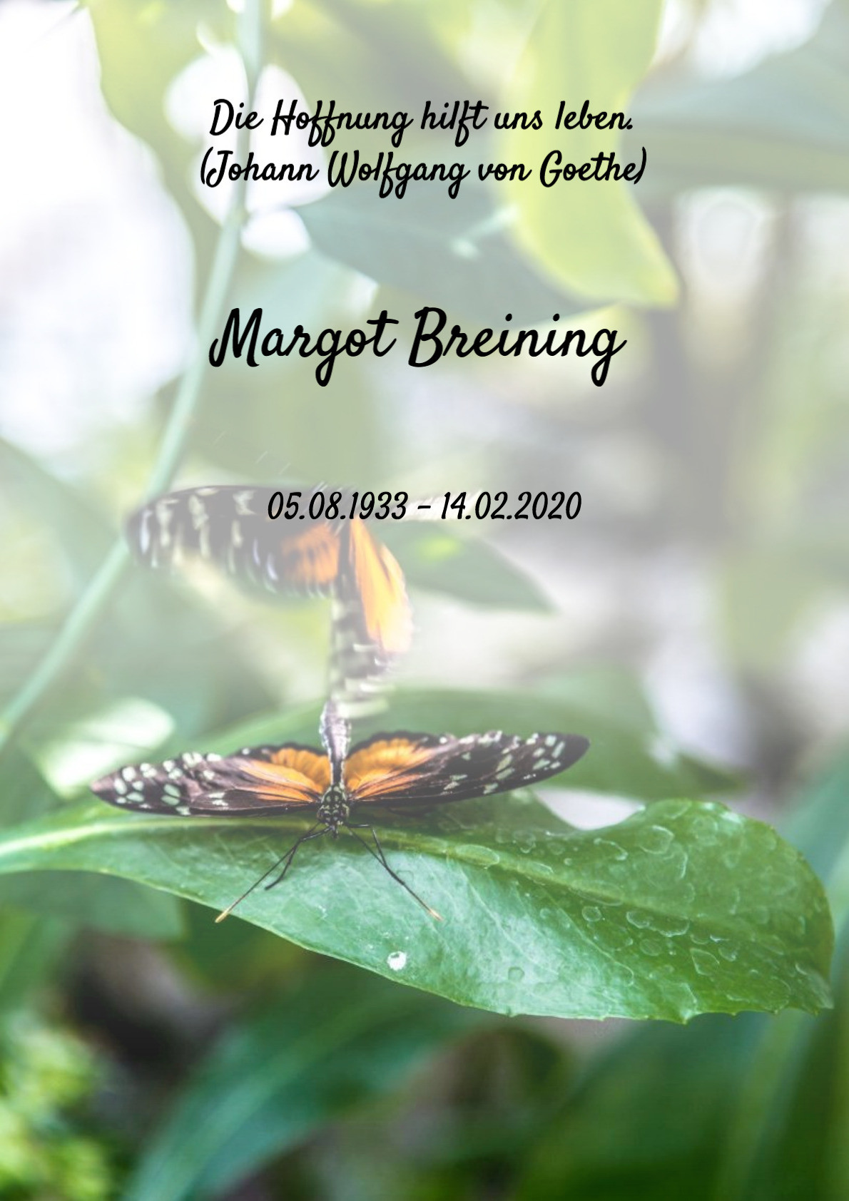 Traueranzeige von Margot Breining