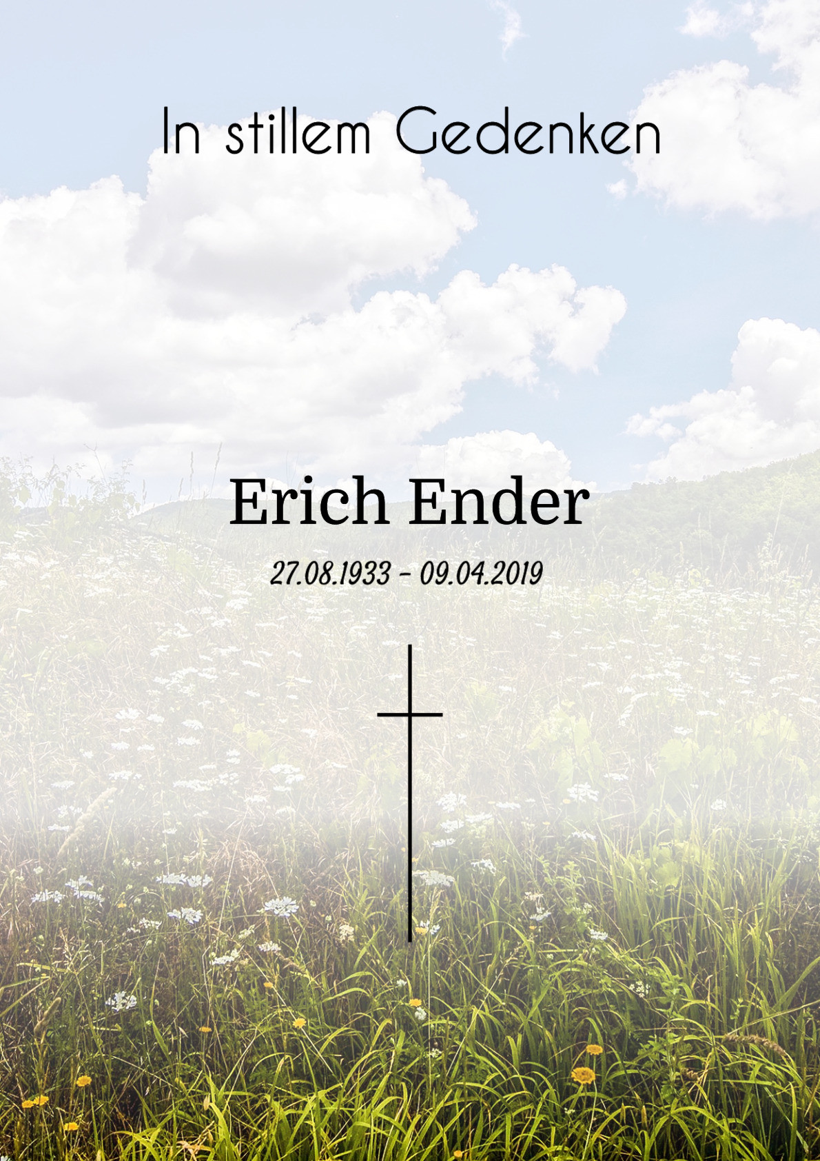 Traueranzeige von Erich Ender