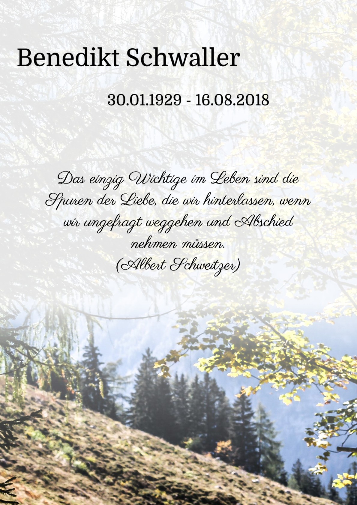 Traueranzeige von Benedikt Schwaller