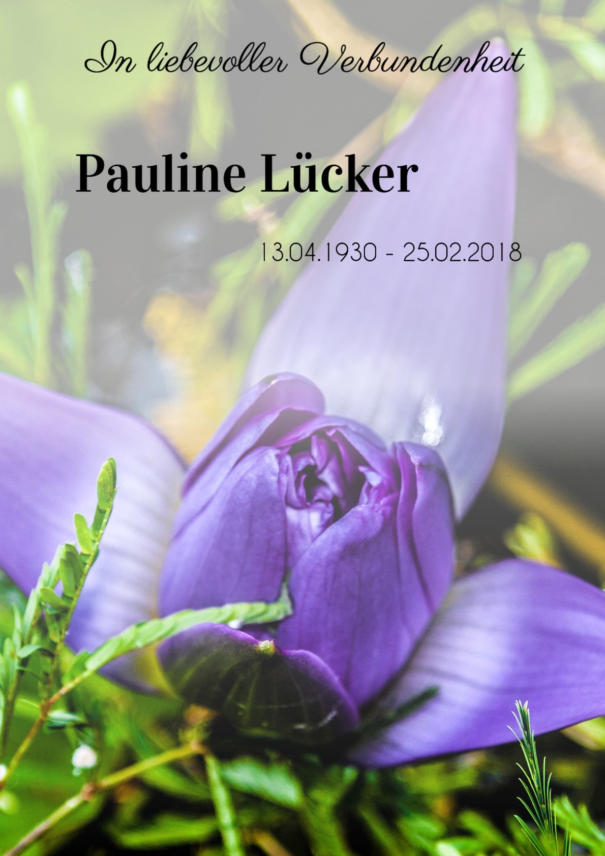 Traueranzeige von Pauline Lücker