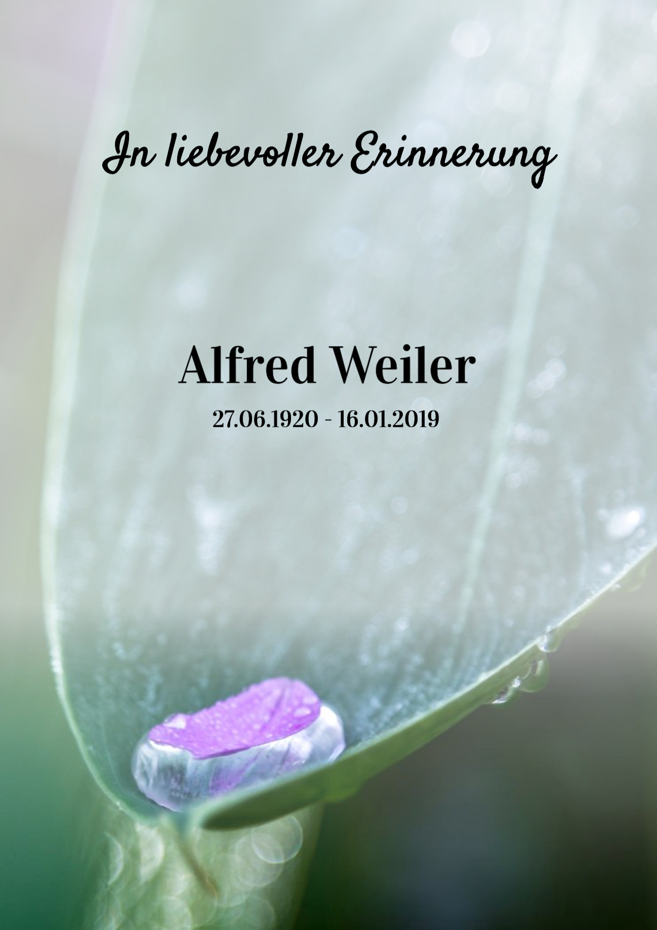 Traueranzeige von Alfred Weiler