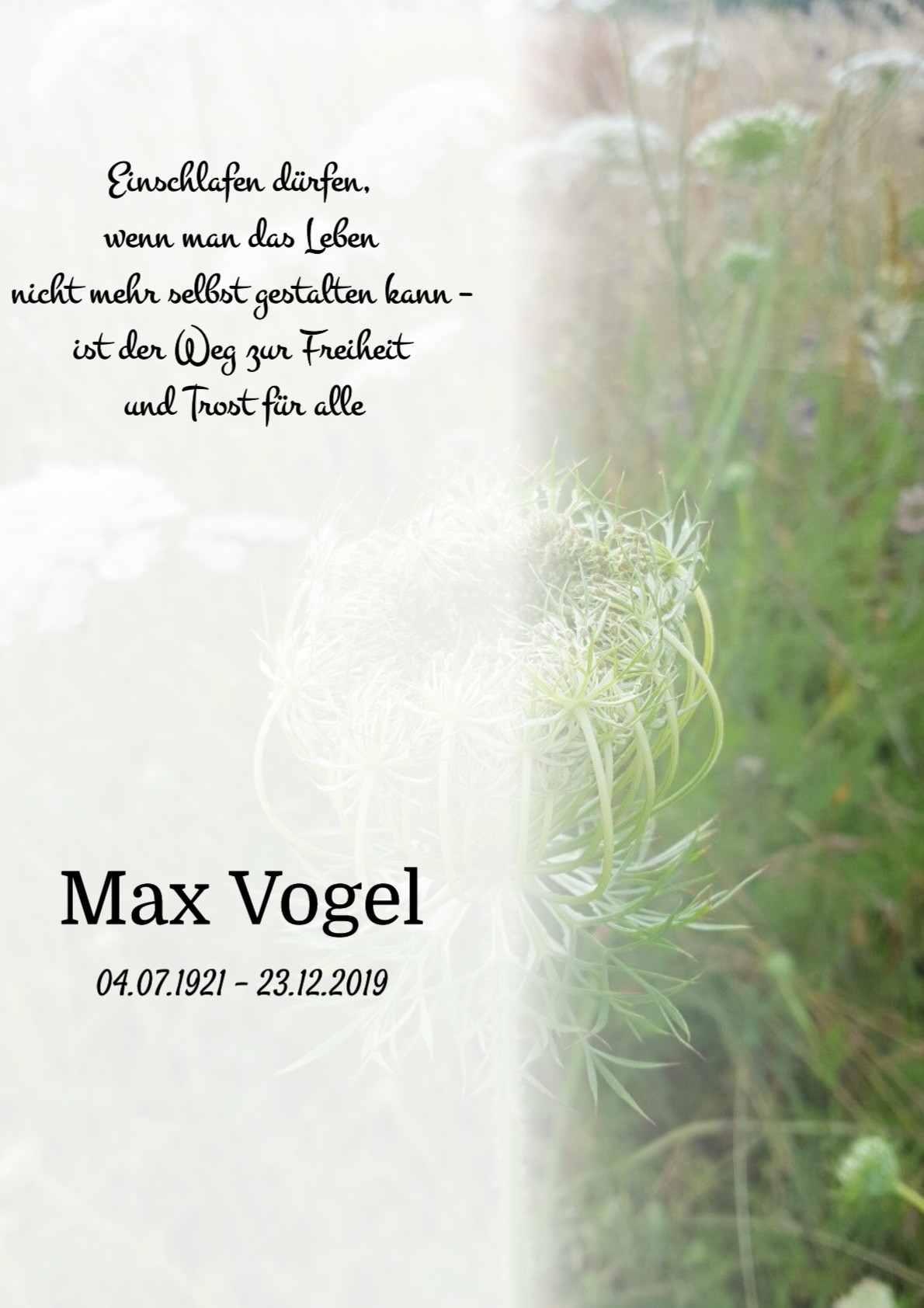 Traueranzeige von Max Vogel