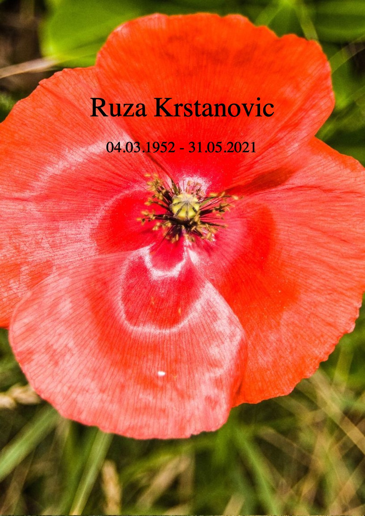 Traueranzeige von Ruza Krstanovic