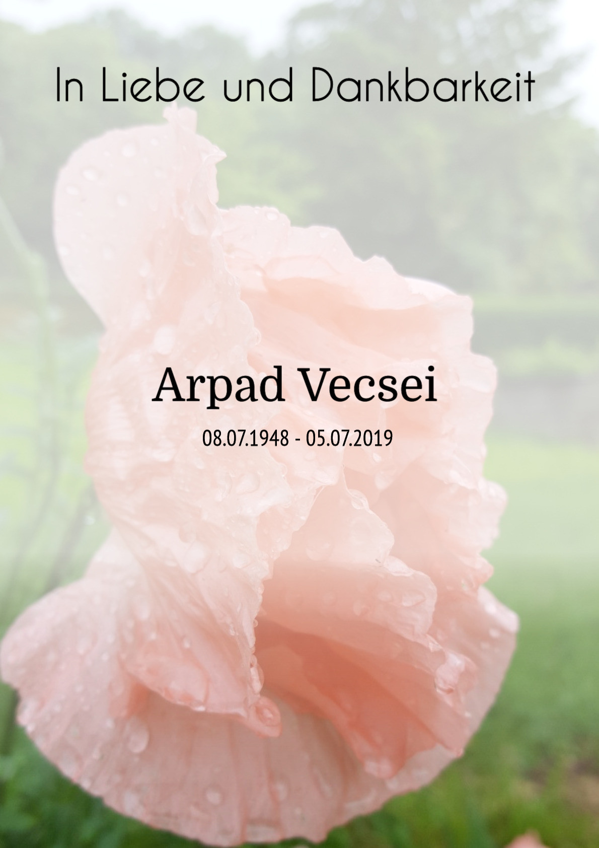 Traueranzeige von Arpad Vecsei
