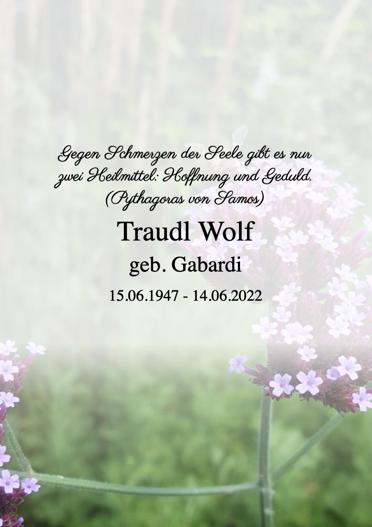 Traueranzeige von Traudl Wolf