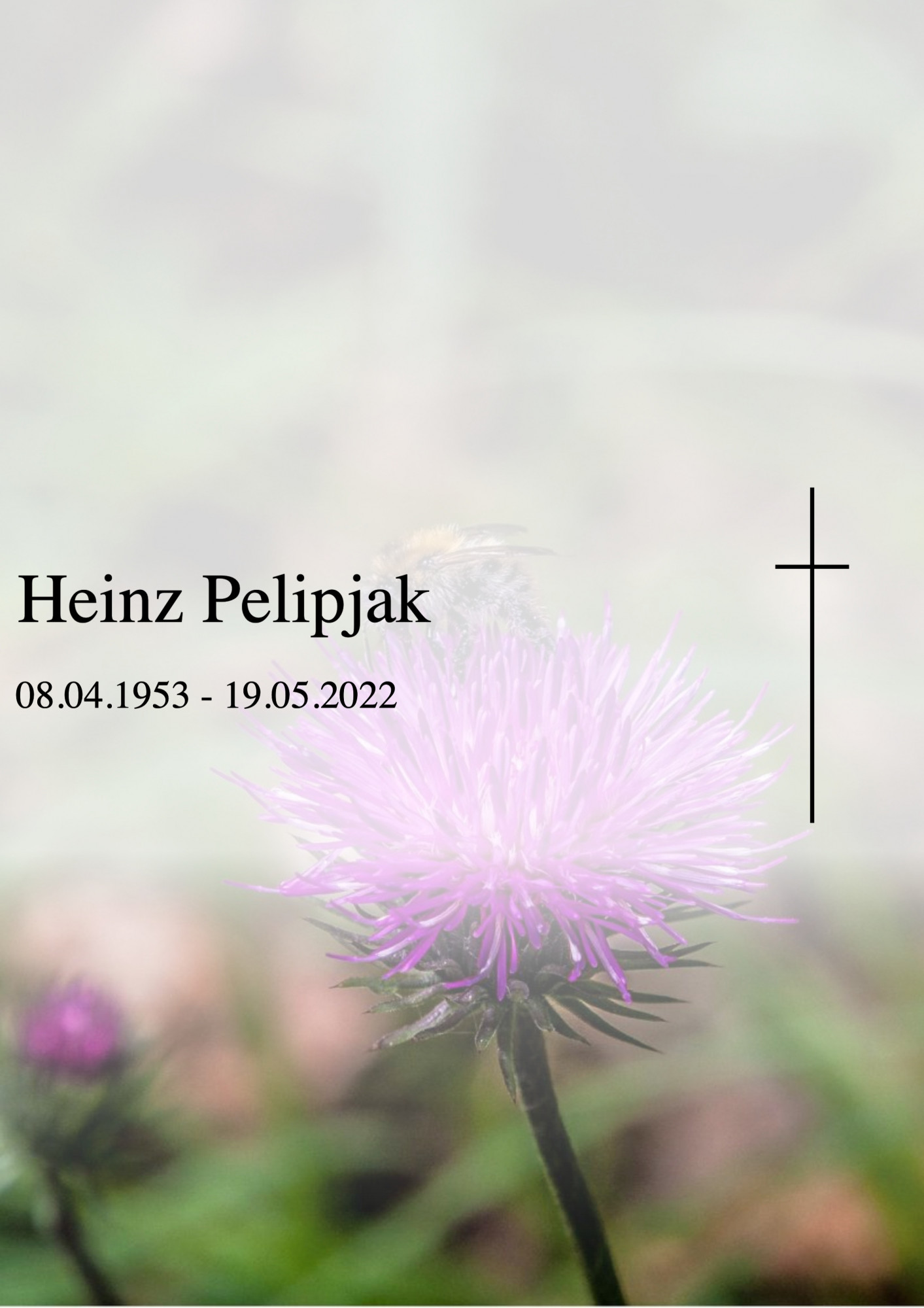 Traueranzeige von Heinz Pelipjak