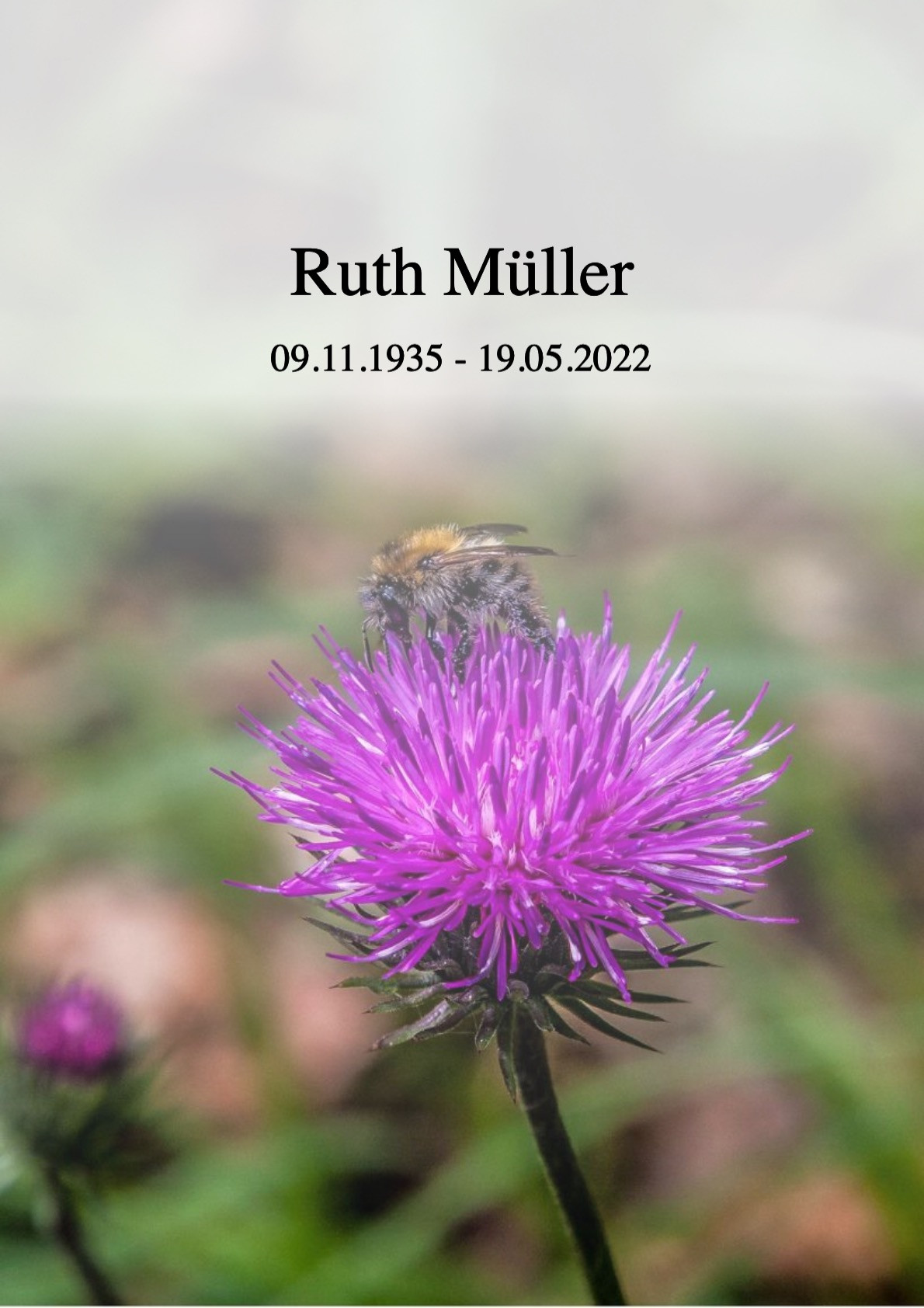 Traueranzeige von Ruth Müller