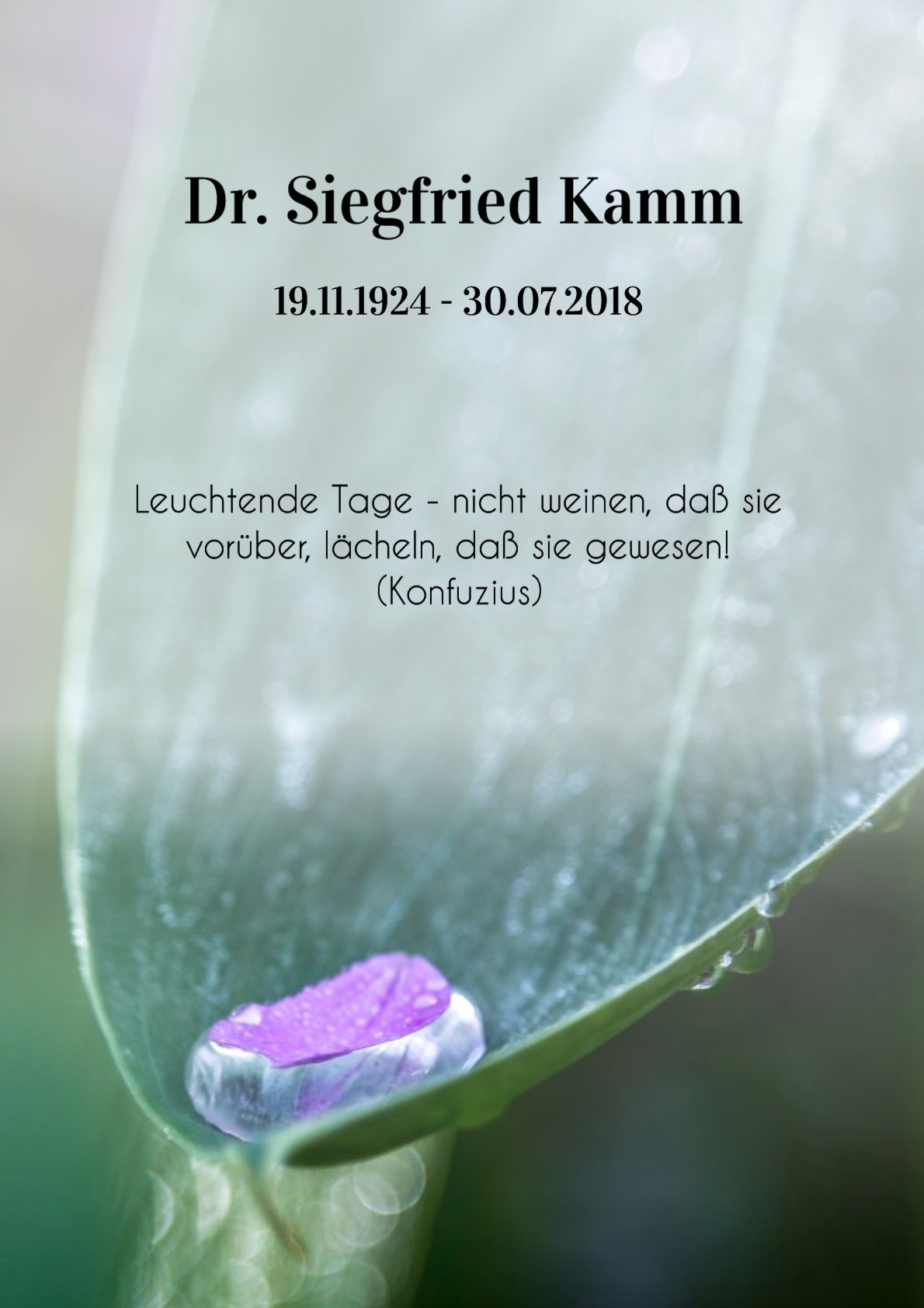 Traueranzeige von Dr. Siegfried Kamm