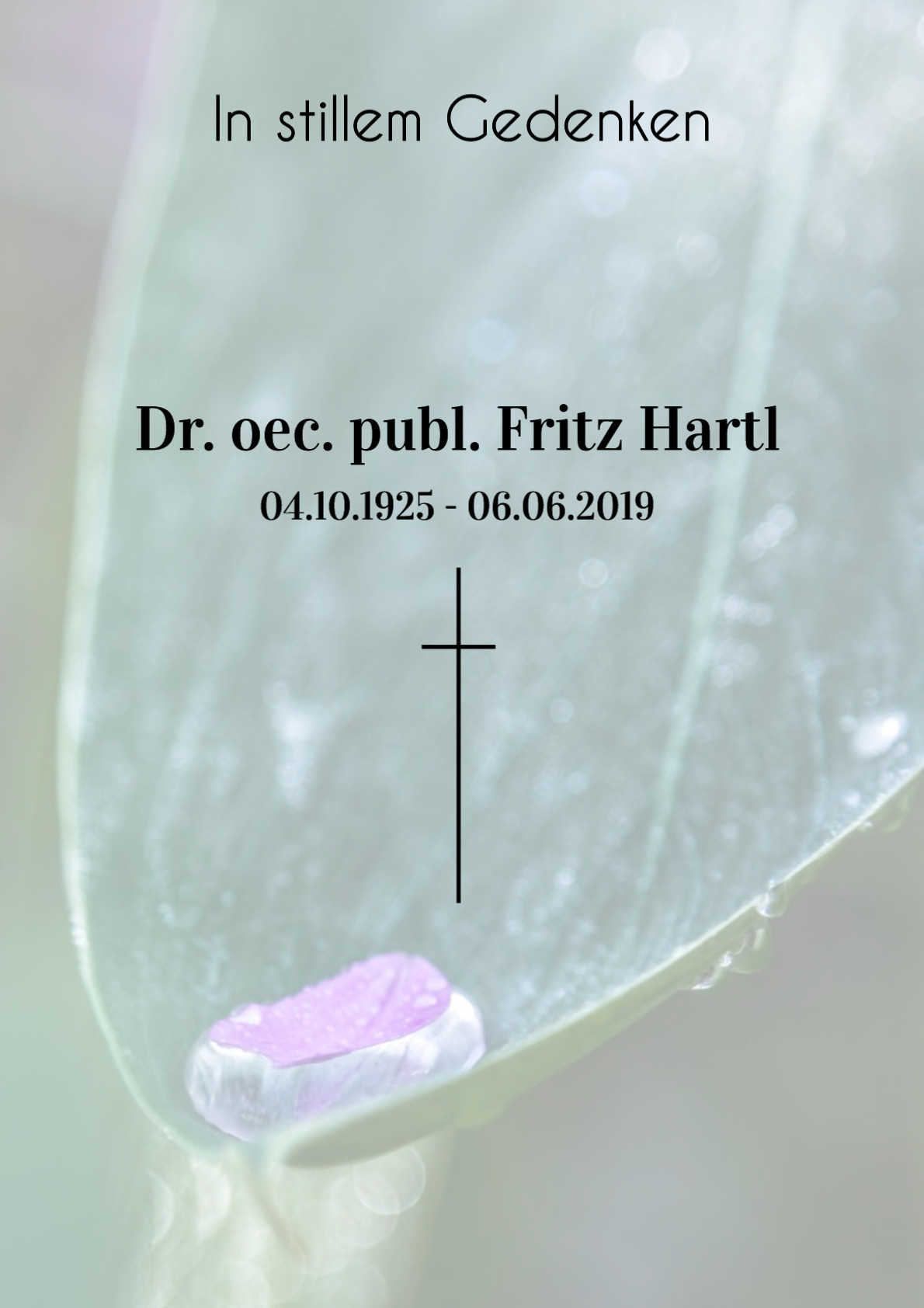 Traueranzeige von Dr. oec. publ. Fritz Hartl