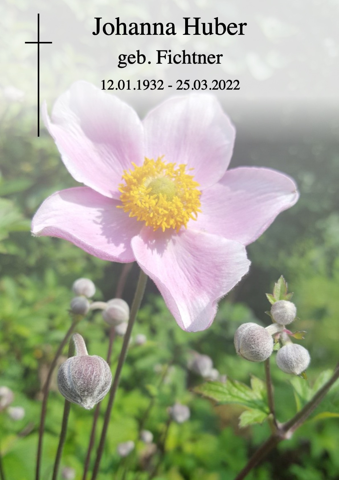 Traueranzeige von Johanna Huber