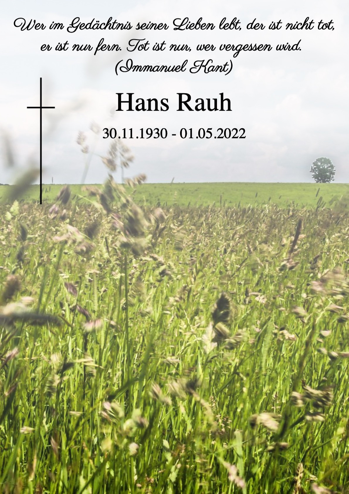 Traueranzeige von Hans Rauh