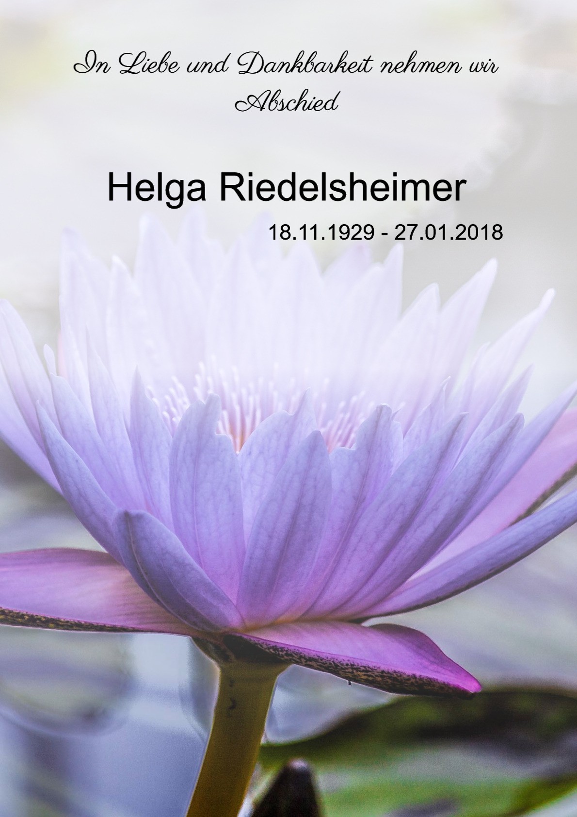 Traueranzeige von Helga Riedelsheimer