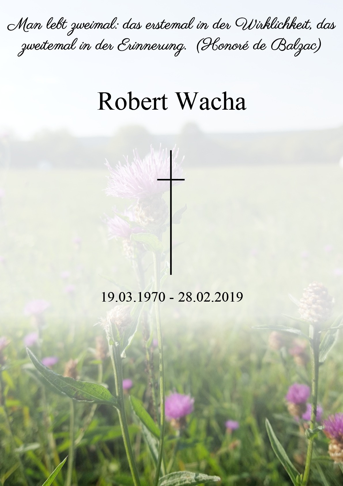 Traueranzeige von Robert Wacha