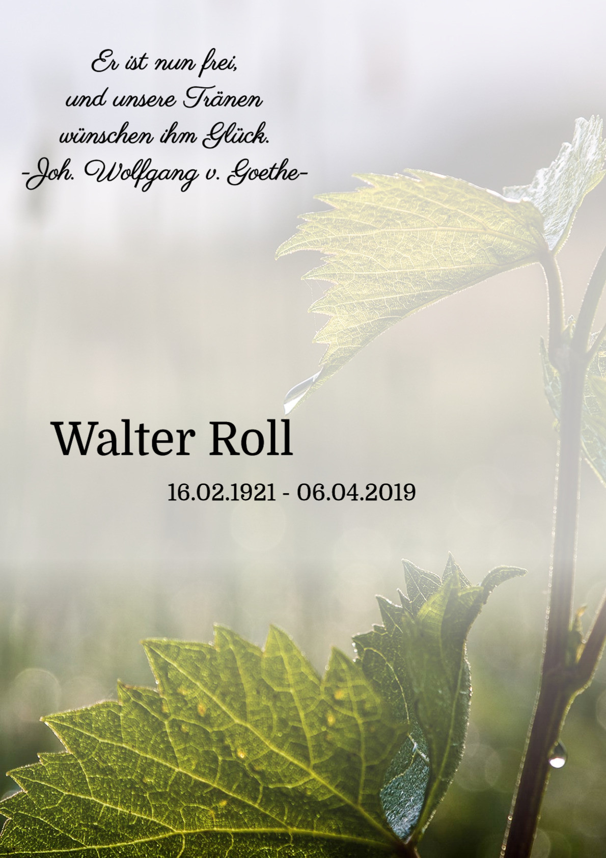 Traueranzeige von Walter Roll
