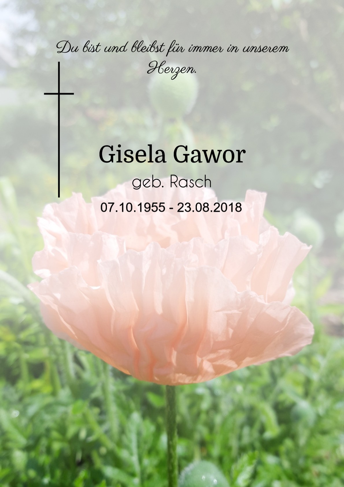 Traueranzeige von Gisela Gawor