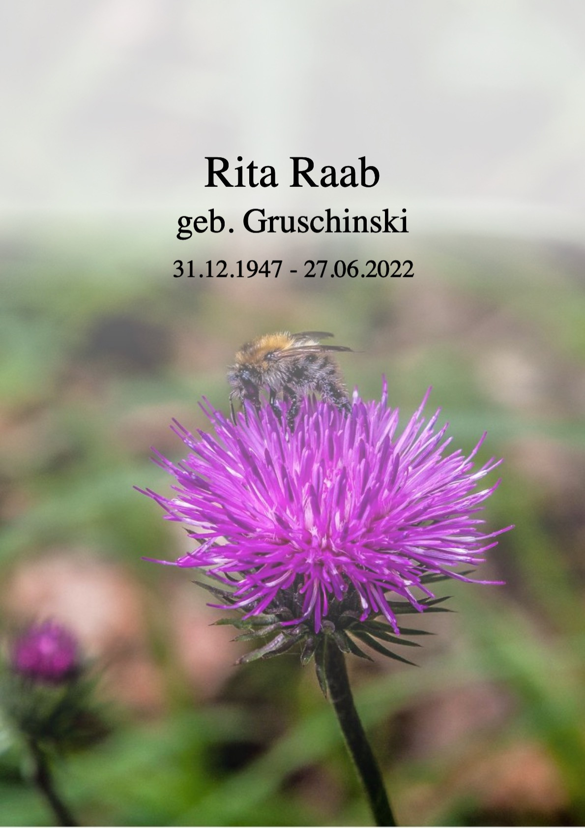 Traueranzeige von Rita Raab
