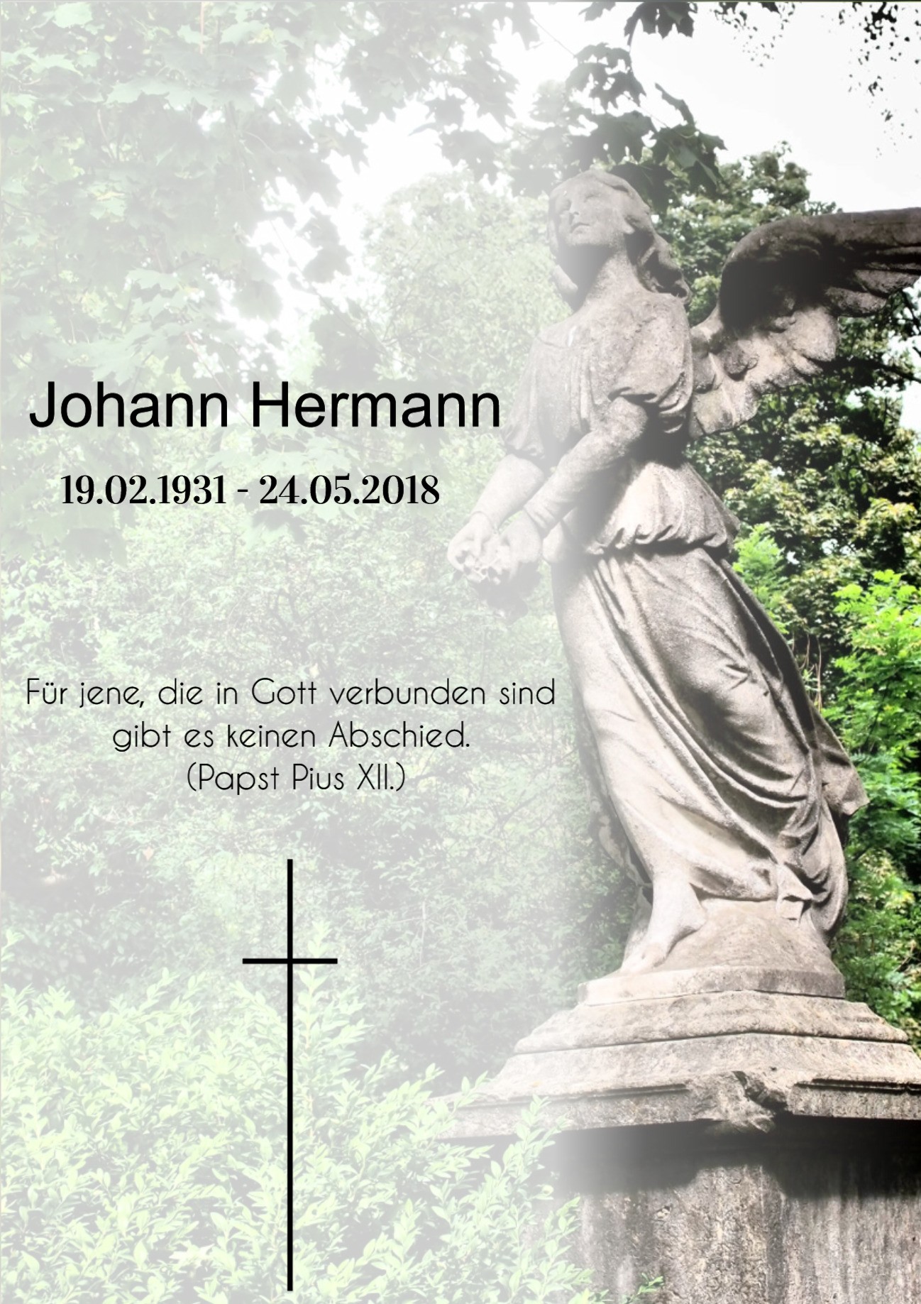 Traueranzeige von Johann Hermann