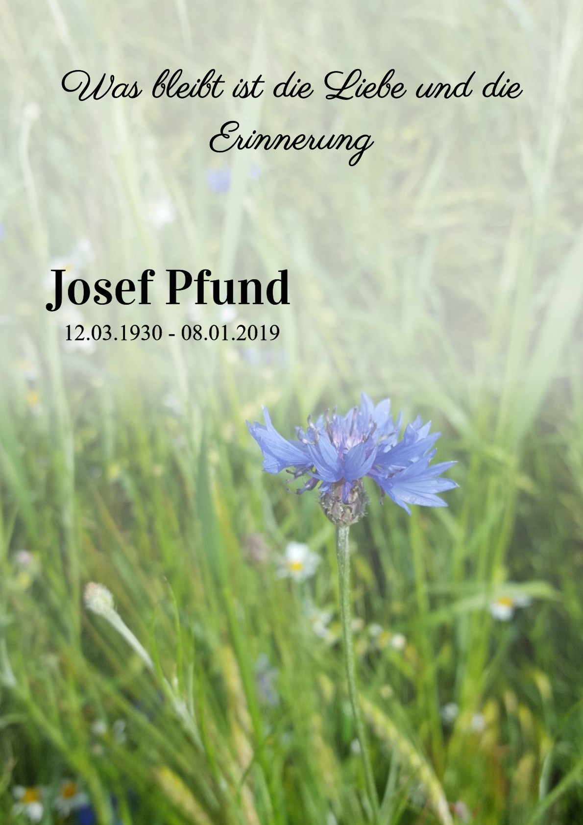 Traueranzeige von Josef Pfund
