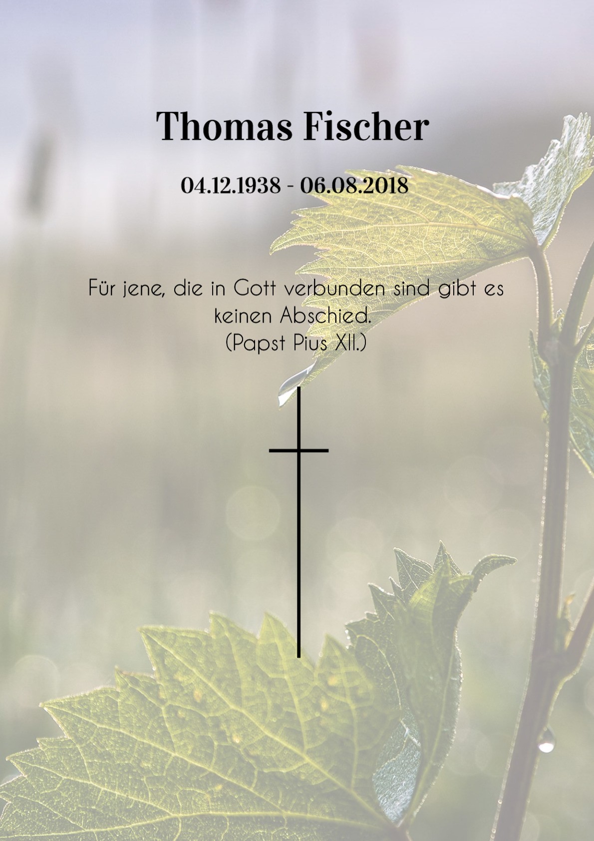 Traueranzeige von Thomas Fischer