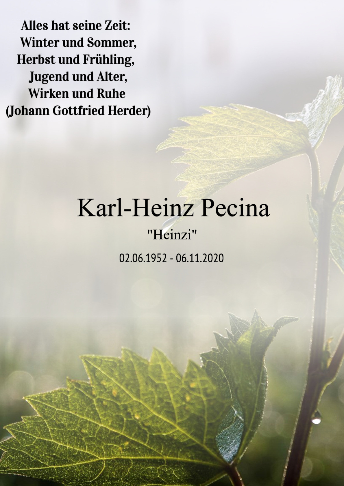 Traueranzeige von Karl-Heinz Pecina