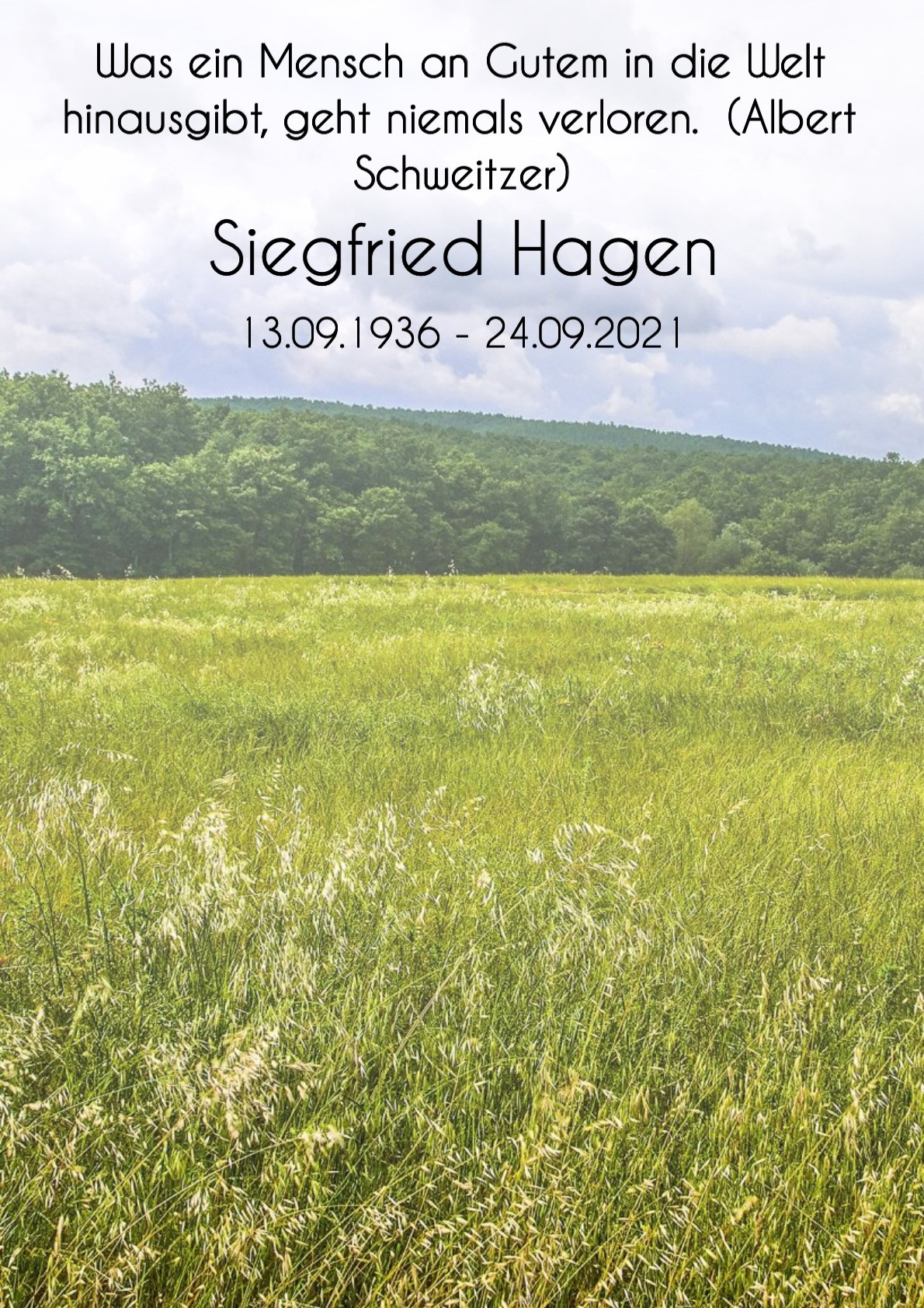 Traueranzeige von Siegfried Hagen