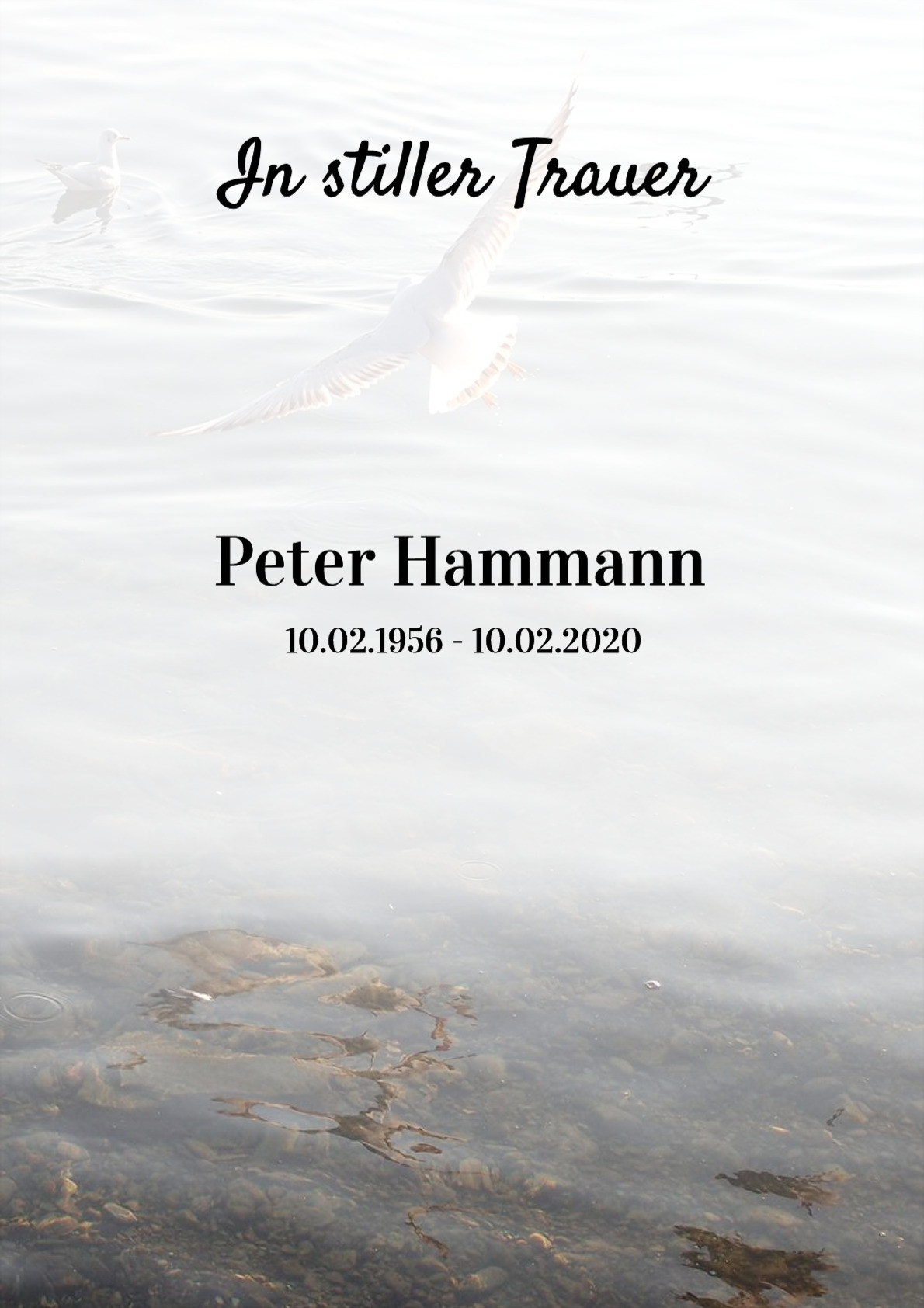 Traueranzeige von Peter Hammann
