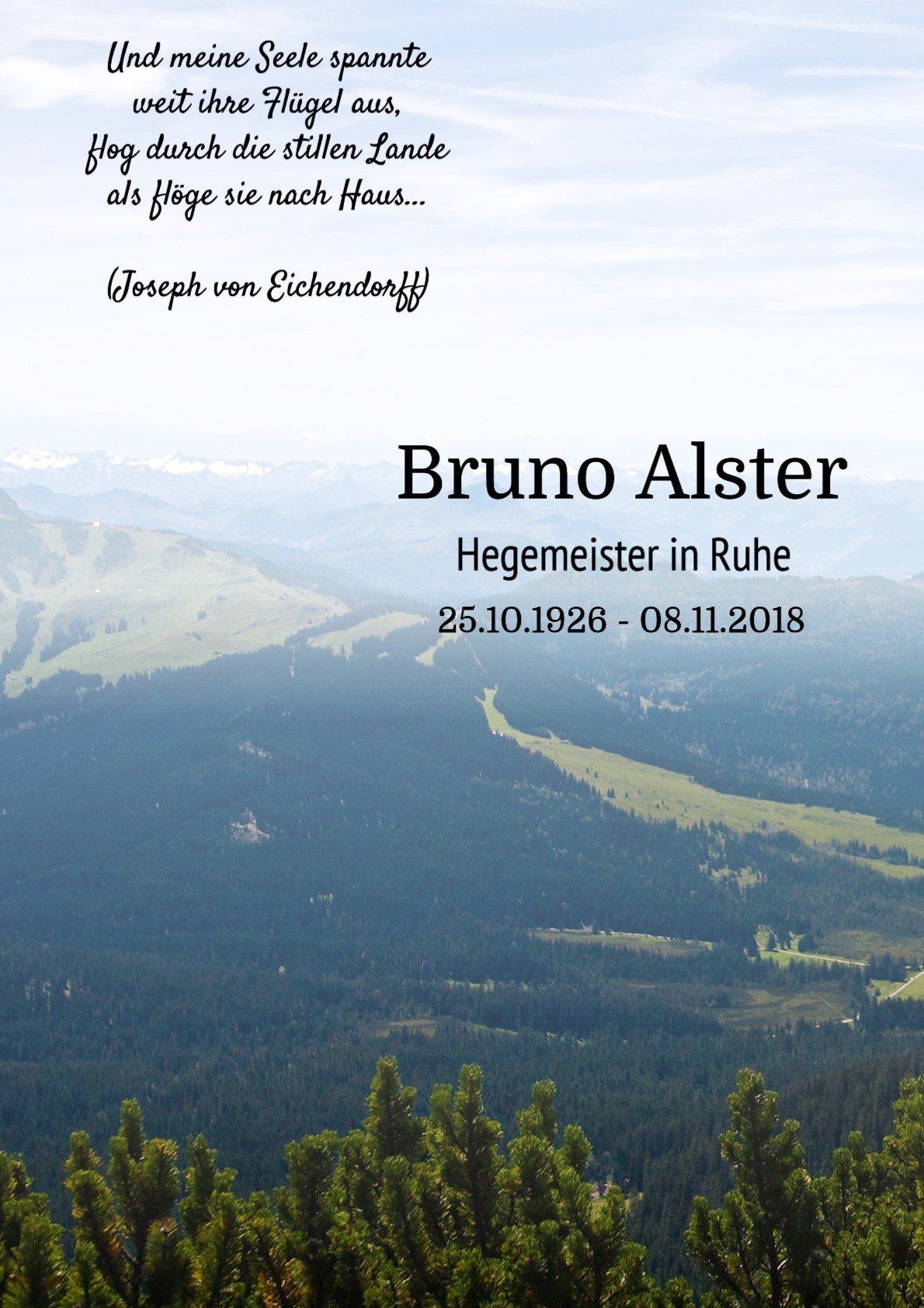 Traueranzeige von Bruno Alster
