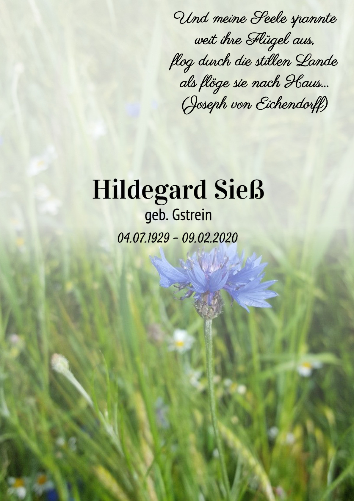 Traueranzeige von Hildegard Sieß