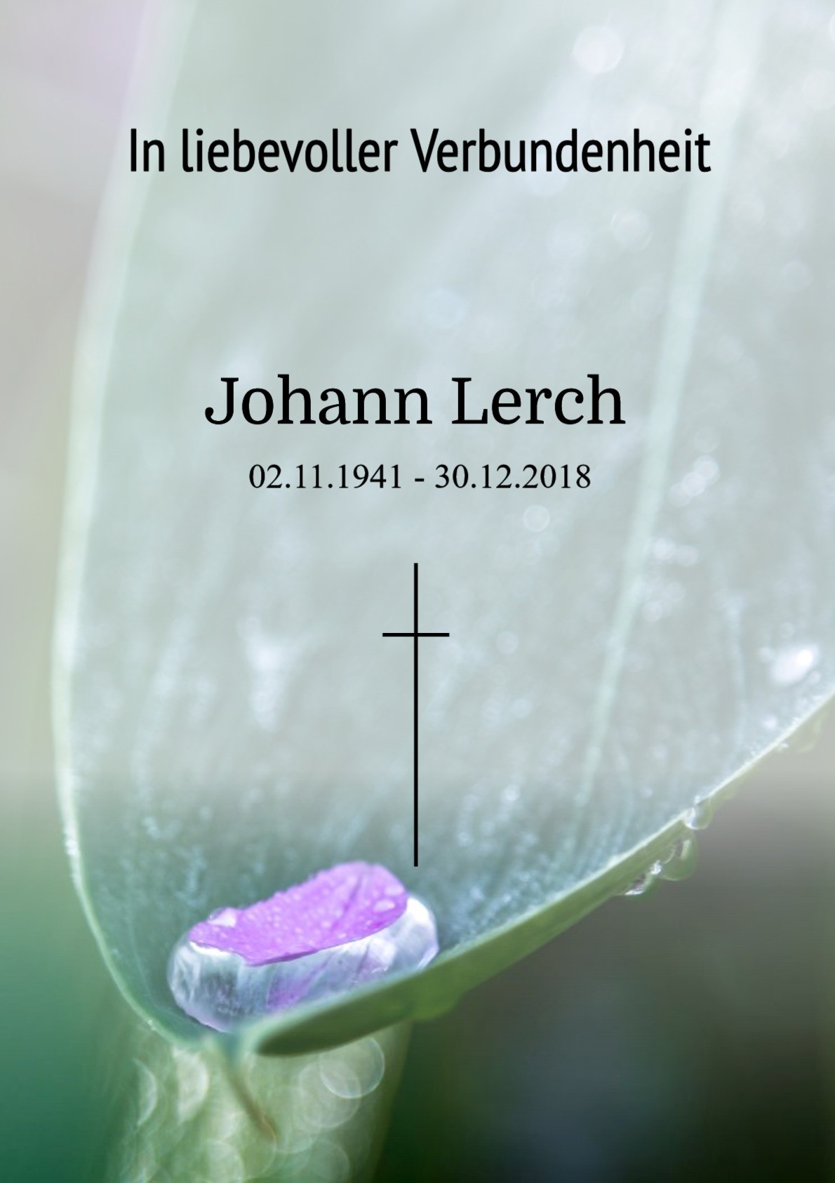 Traueranzeige von Johann Lerch