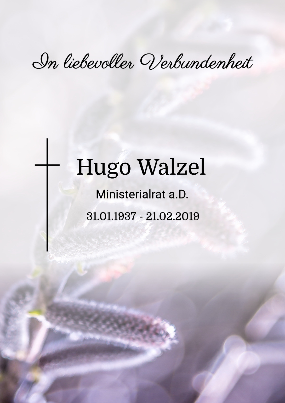 Traueranzeige von Hugo Walzel