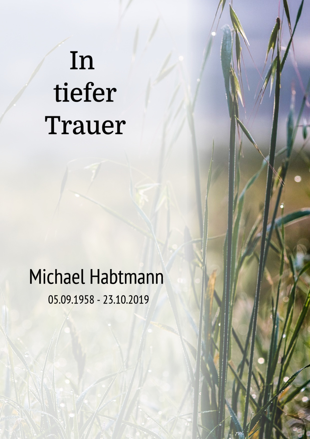 Traueranzeige von Michael Habtmann