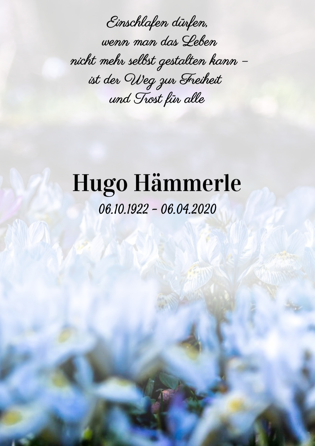 Traueranzeige von Hugo Hämmerle