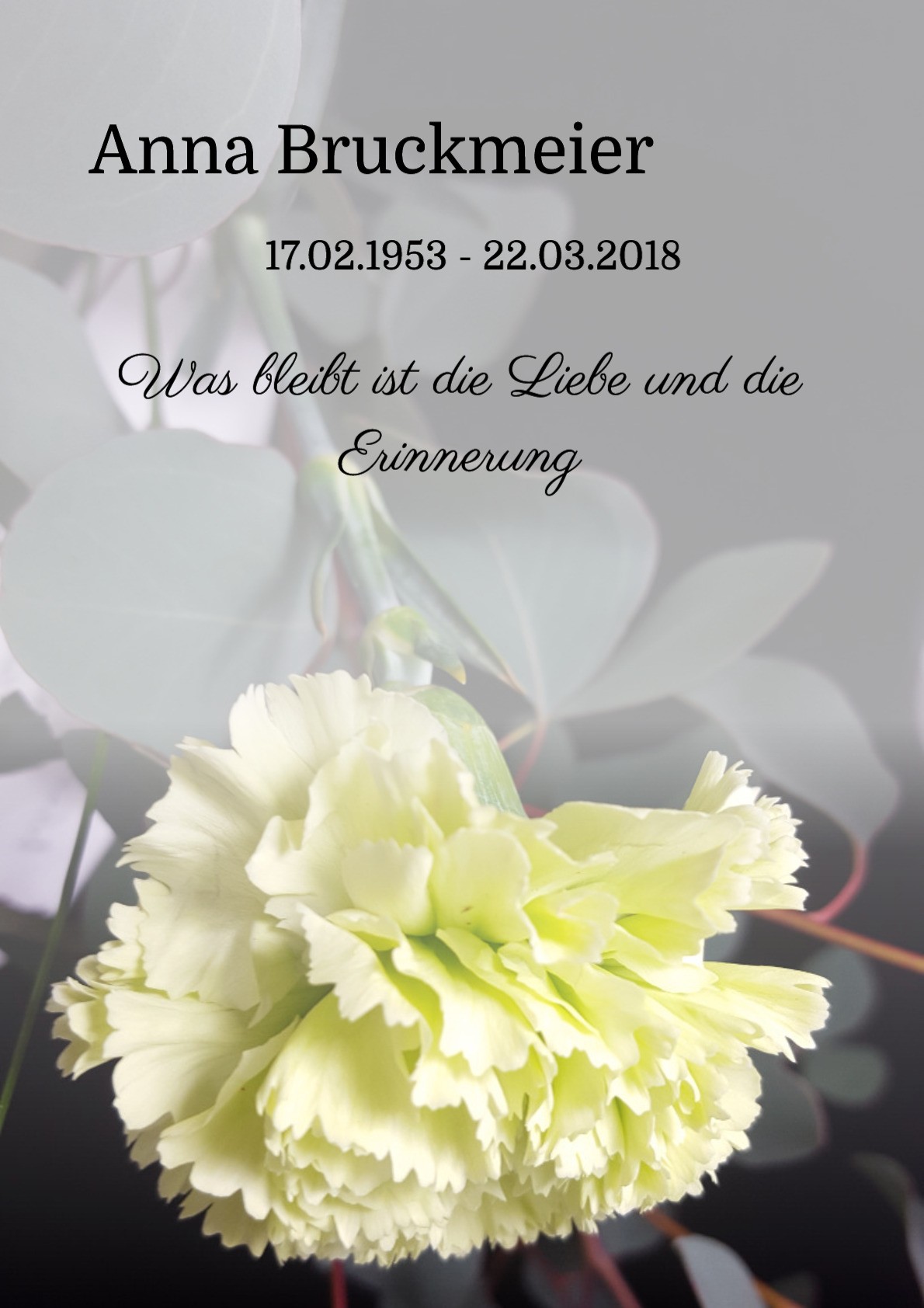 Traueranzeige von Anna Bruckmeier