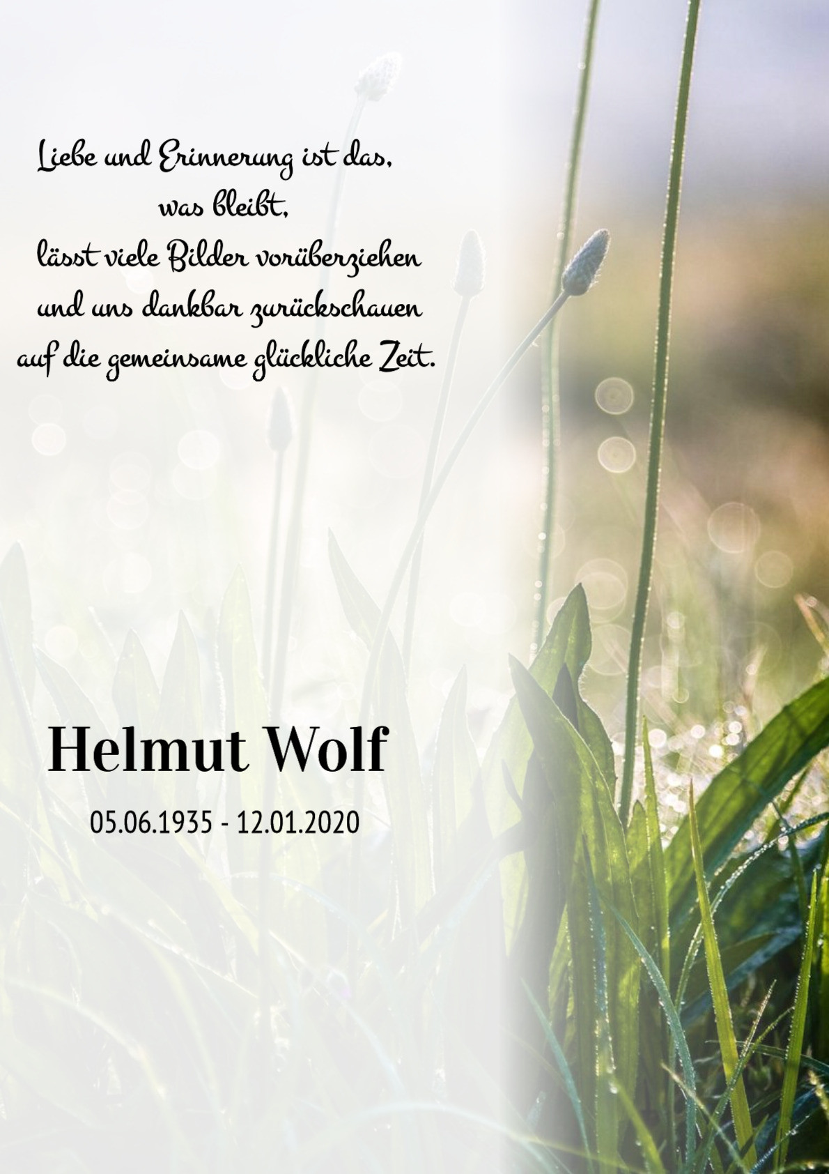 Traueranzeige von Helmut Wolf