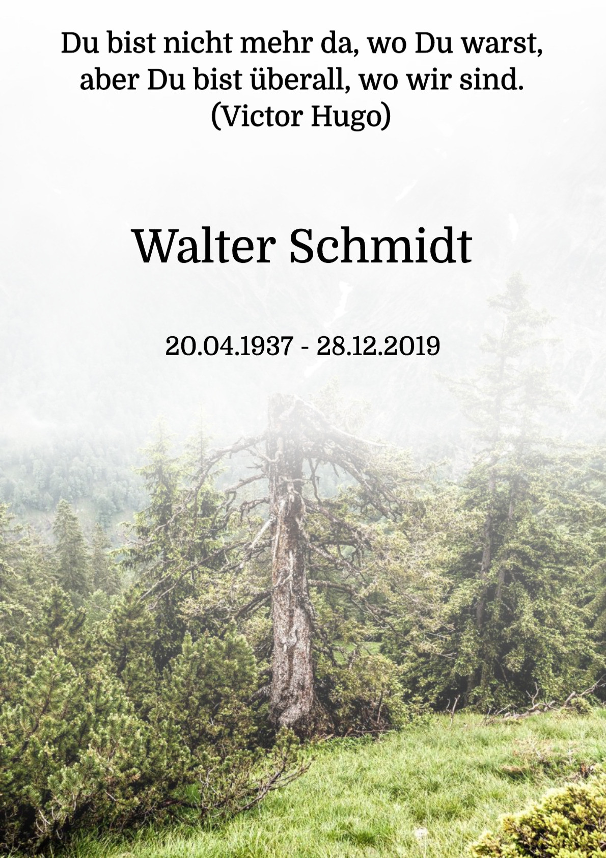 Traueranzeige von Walter Schmidt