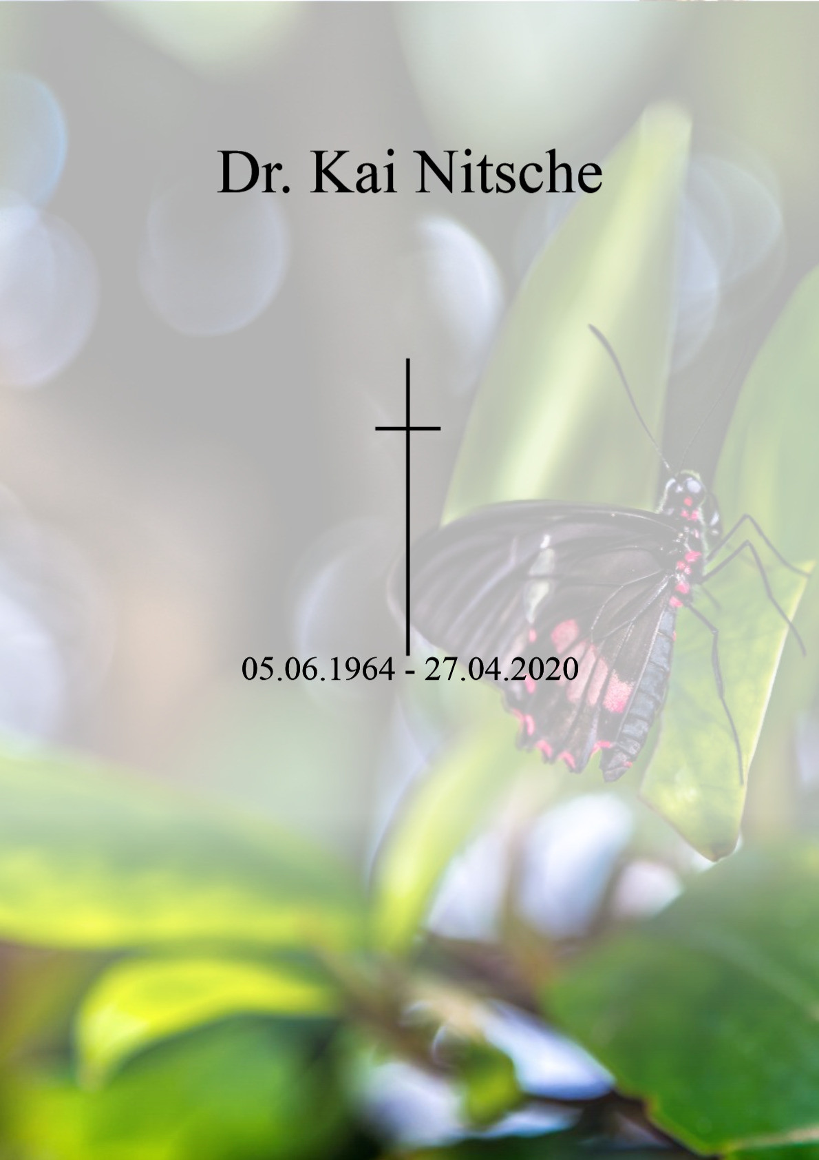 Traueranzeige von Dr. Kai Nitsche
