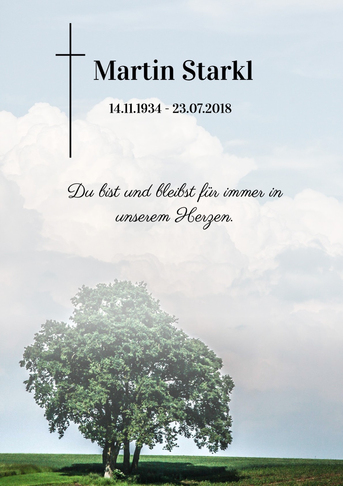 Traueranzeige von Martin Starkl
