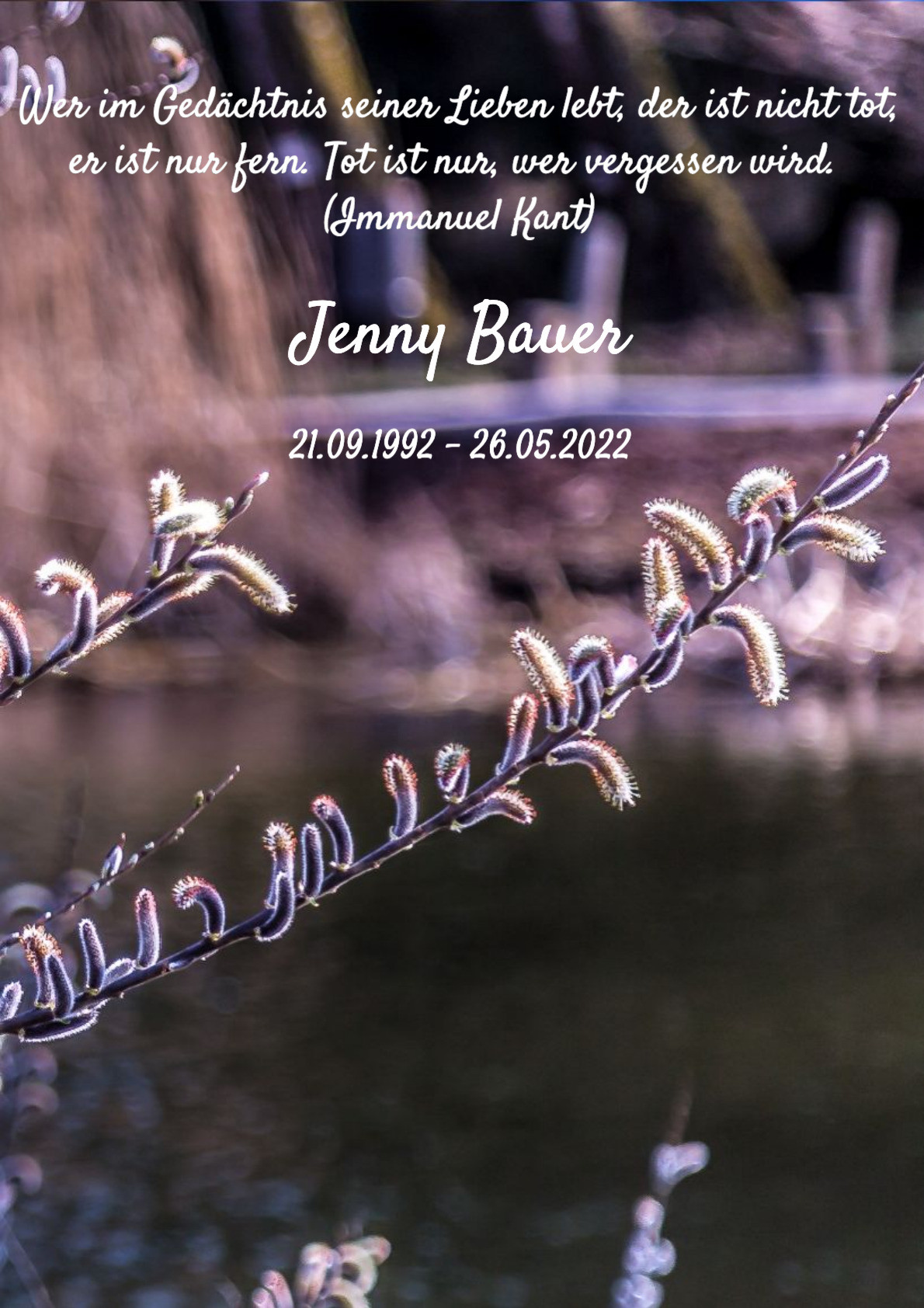 Traueranzeige von Jenny Bauer