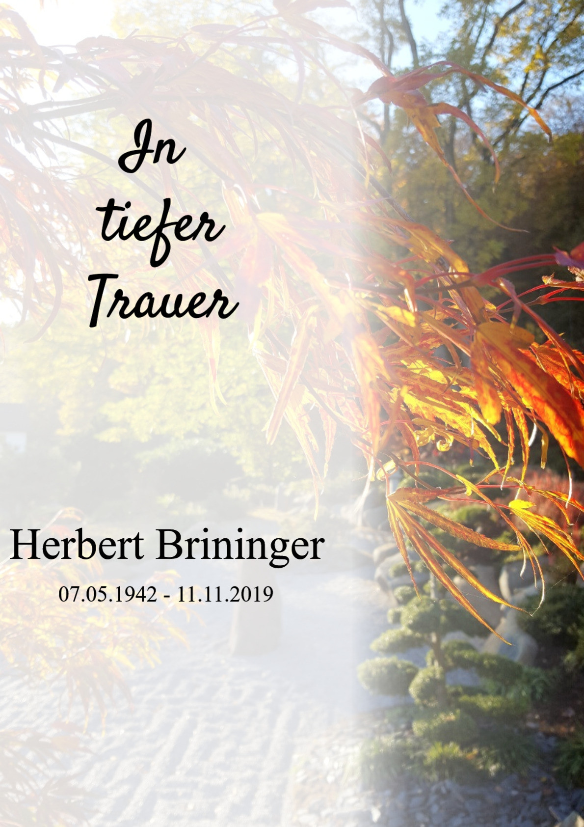 Traueranzeige von Herbert Brininger