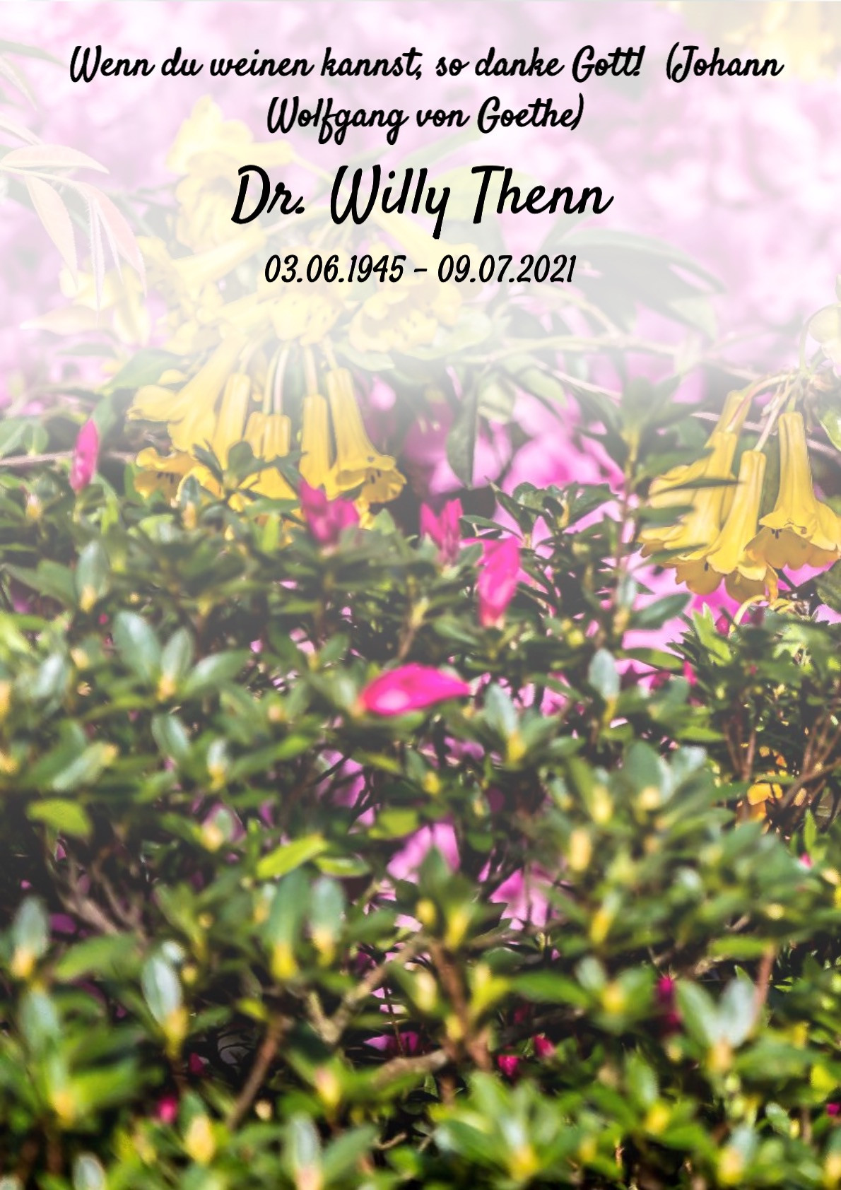 Traueranzeige von Dr Willy Thenn