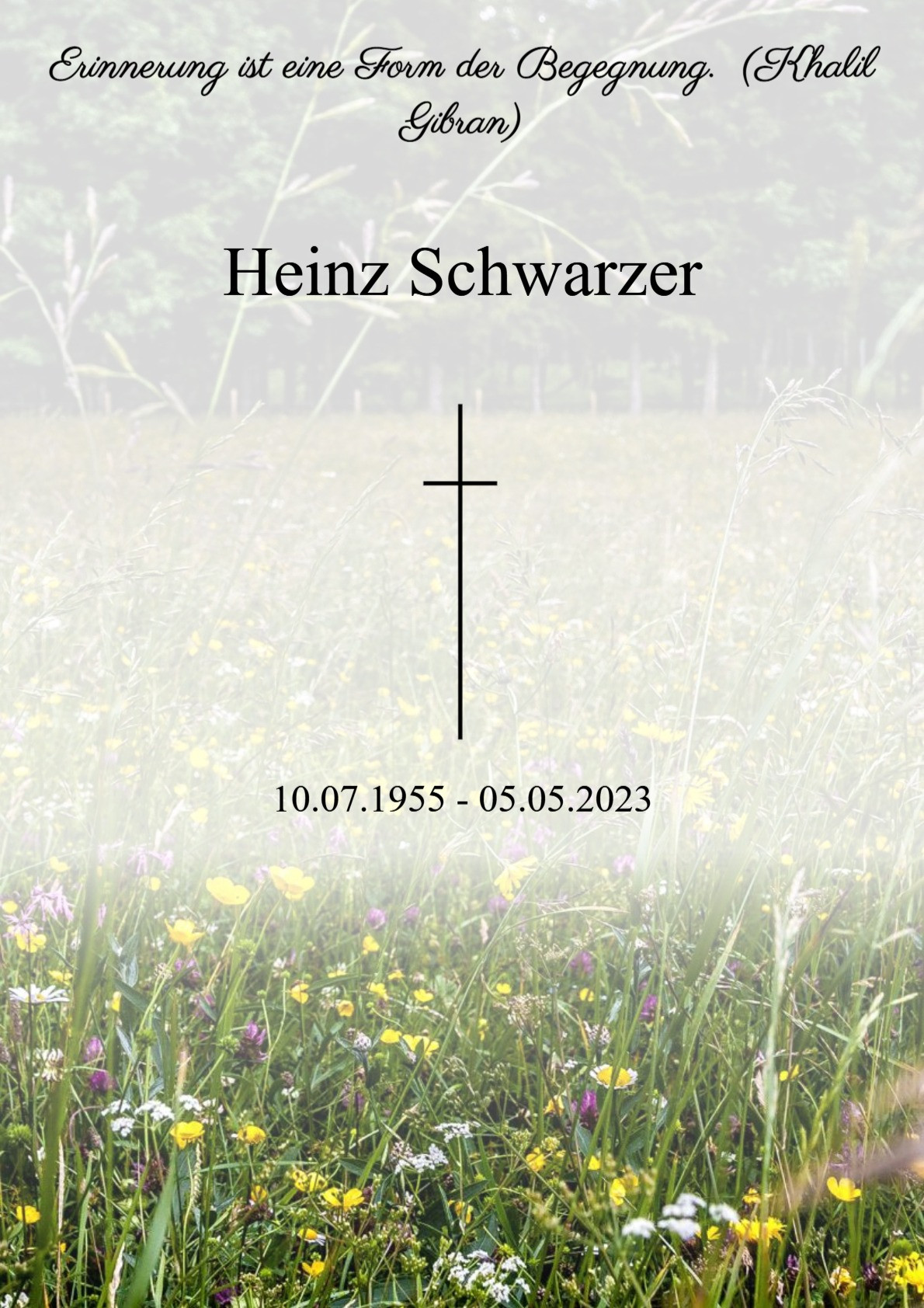 Traueranzeige von Heinz Schwarzer