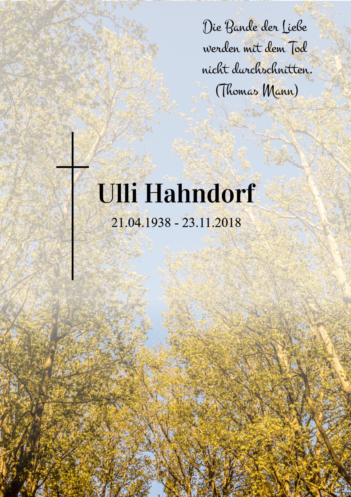 Traueranzeige von Ulli Hahndorf