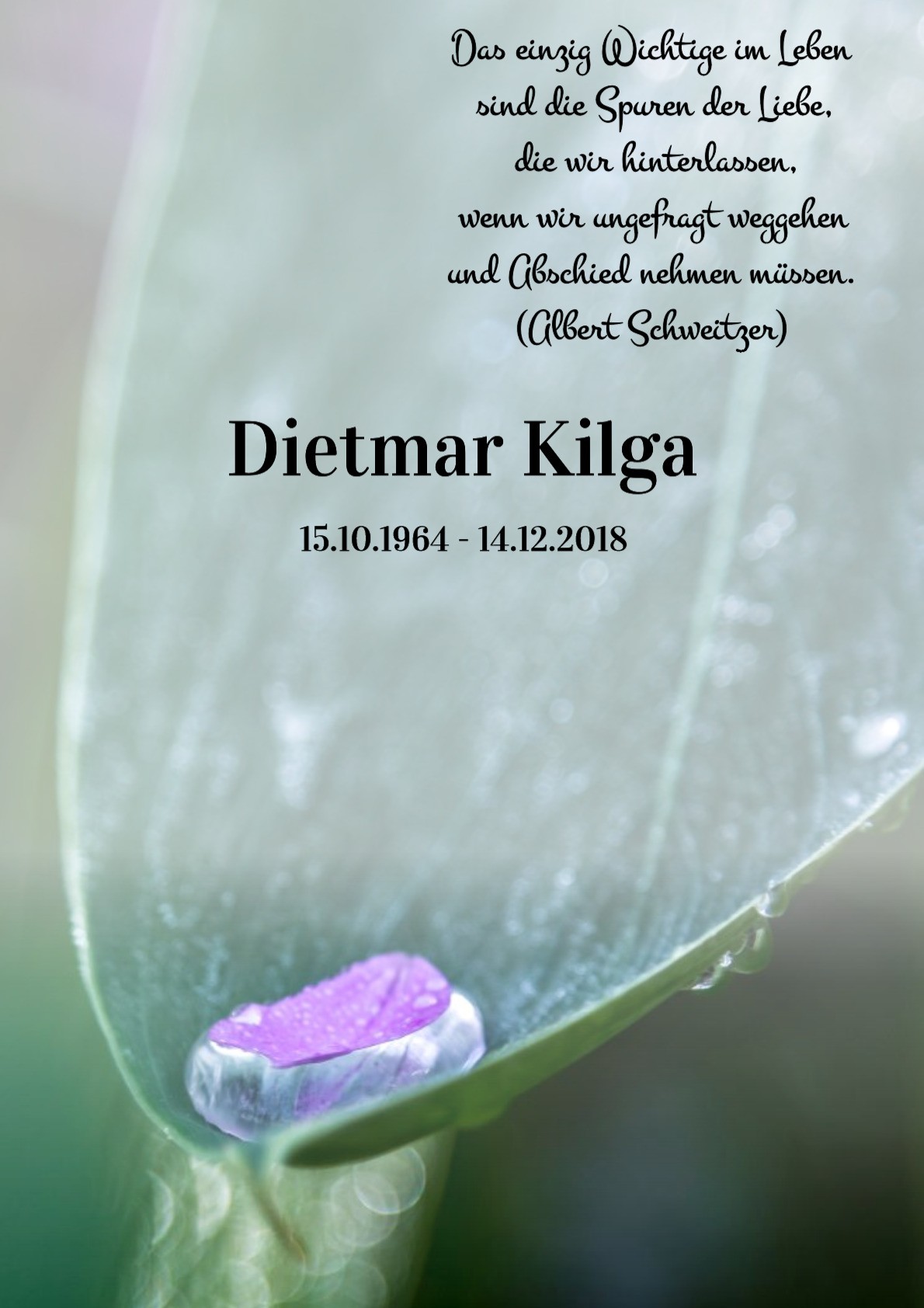 Traueranzeige von Dietmar Kilga