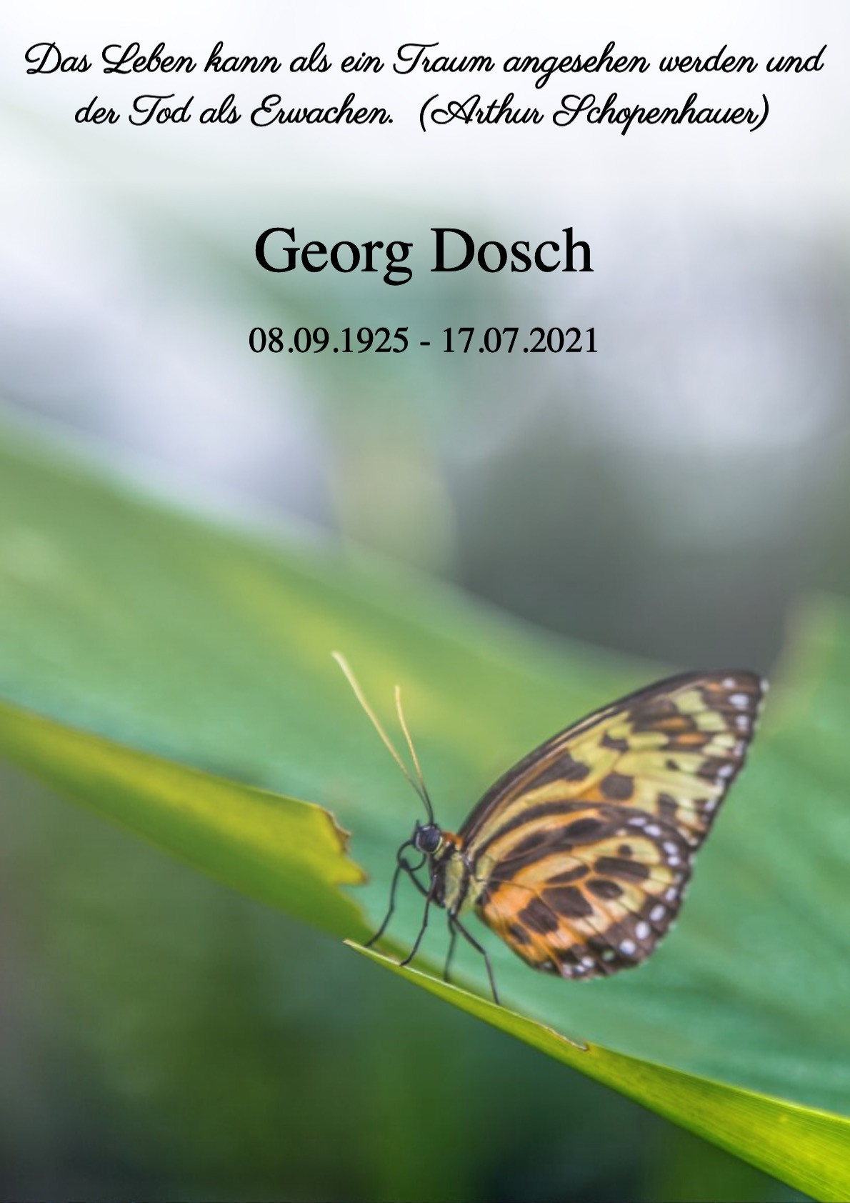 Traueranzeige von Georg Dosch
