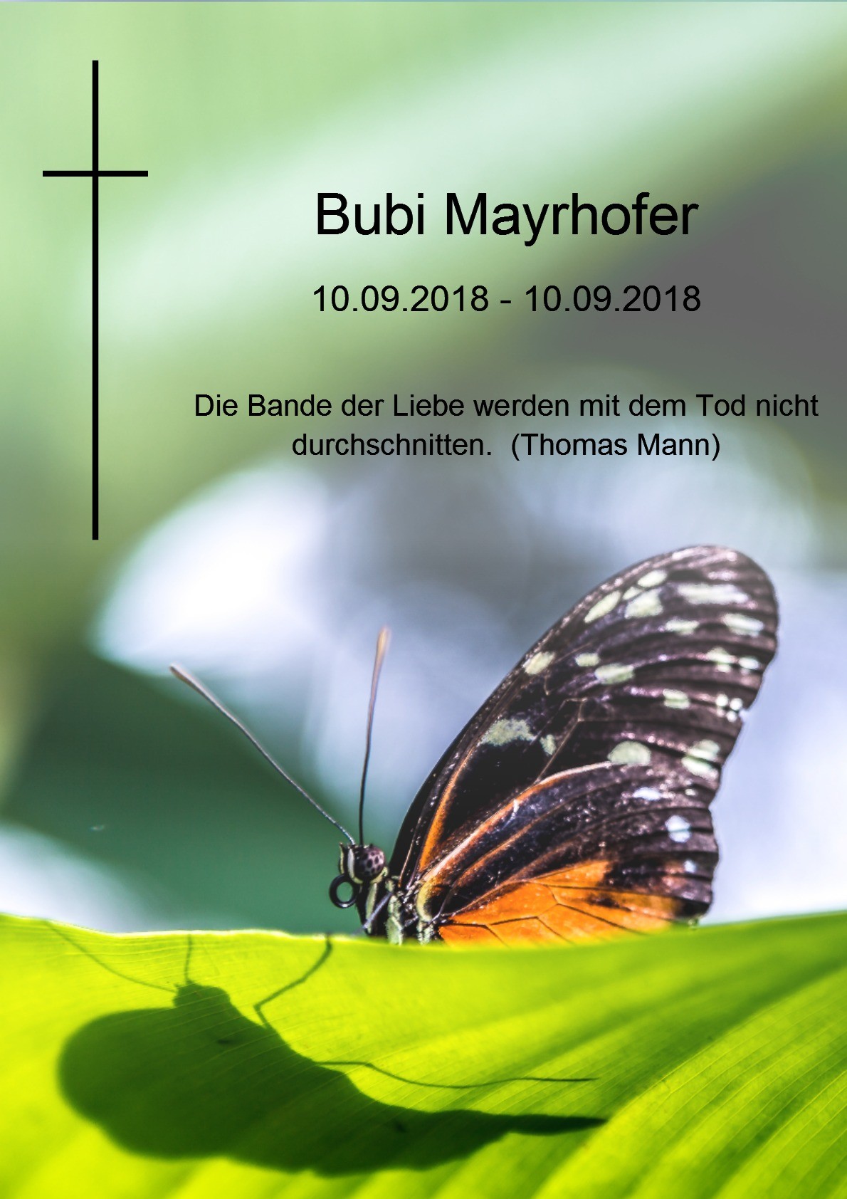 Traueranzeige von Bubi Mayrhofer