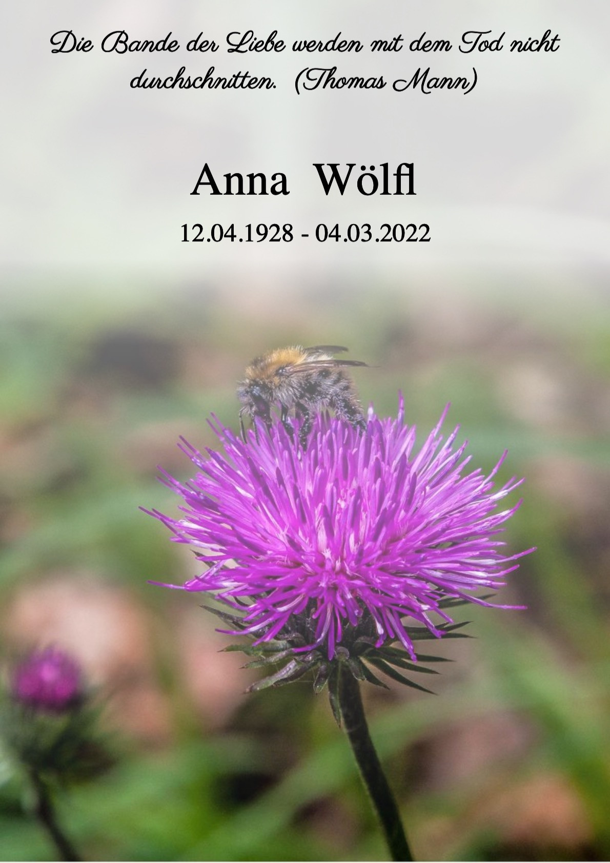 Traueranzeige von Anna Wölfl